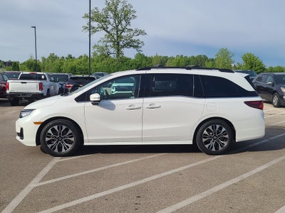 2026 Honda Odyssey Elite