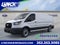 2026 Ford Transit Cargo Van T-250 130" Low Rf 9150 GVWR RWD
