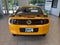 2013 Ford Mustang Boss 302
